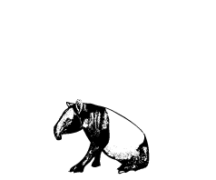 The Tapping Tapir Pte Ltd