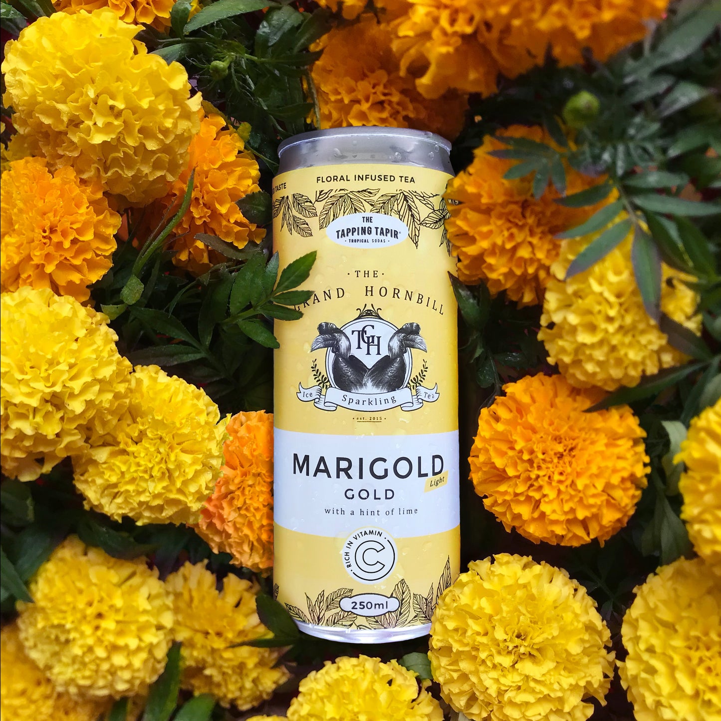 Marigold Harding Marigold Gold Light – The Tapping Tapir Pte Ltd